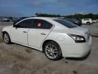 NISSAN MAXIMA S photo