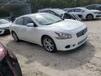 NISSAN MAXIMA S photo