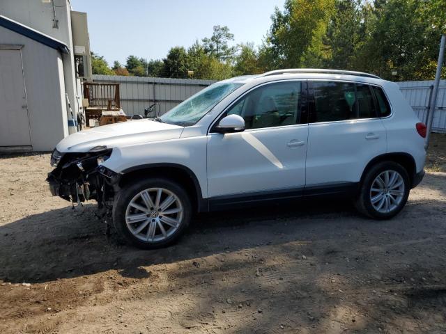 2013 VOLKSWAGEN TIGUAN S #3020678956