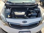 KIA RIO EX photo