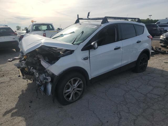 VIN 1FMCU0GD5KUC36807 2019 FORD ESCAPE no.1