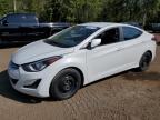 HYUNDAI ELANTRA SE photo