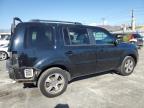 HONDA PILOT EXL photo