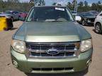 FORD ESCAPE XLT photo