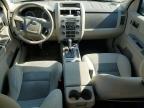 FORD ESCAPE HEV photo