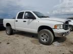 DODGE RAM 1500 photo