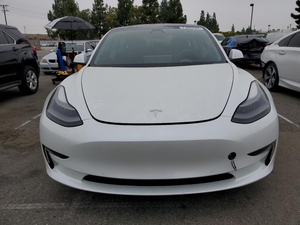 Lot #2986777149 2021 TESLA MODEL 3