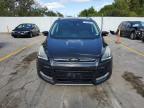 Lot #3025039194 2014 FORD ESCAPE TIT