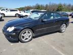 Lot #3040941480 2007 MERCEDES-BENZ CLK-CLASS