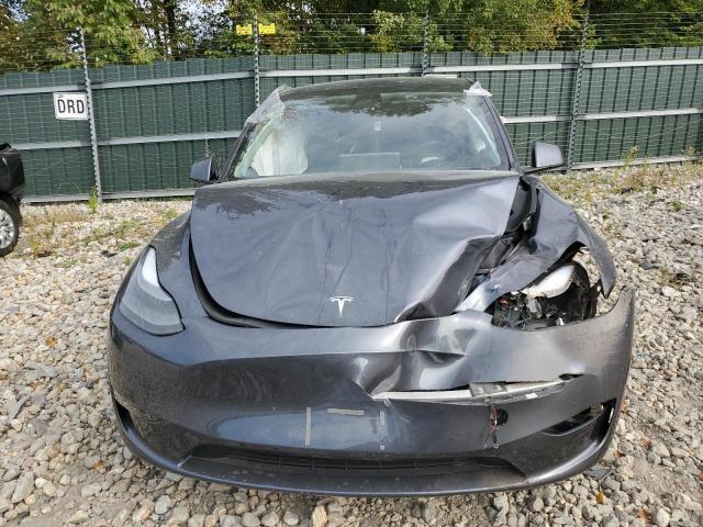 2023 TESLA MODEL Y - 7SAYGDEEXPA202737