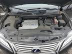 LEXUS RX 450H photo