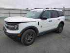 FORD BRONCO SPO photo