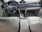 TOYOTA CAMRY L photo