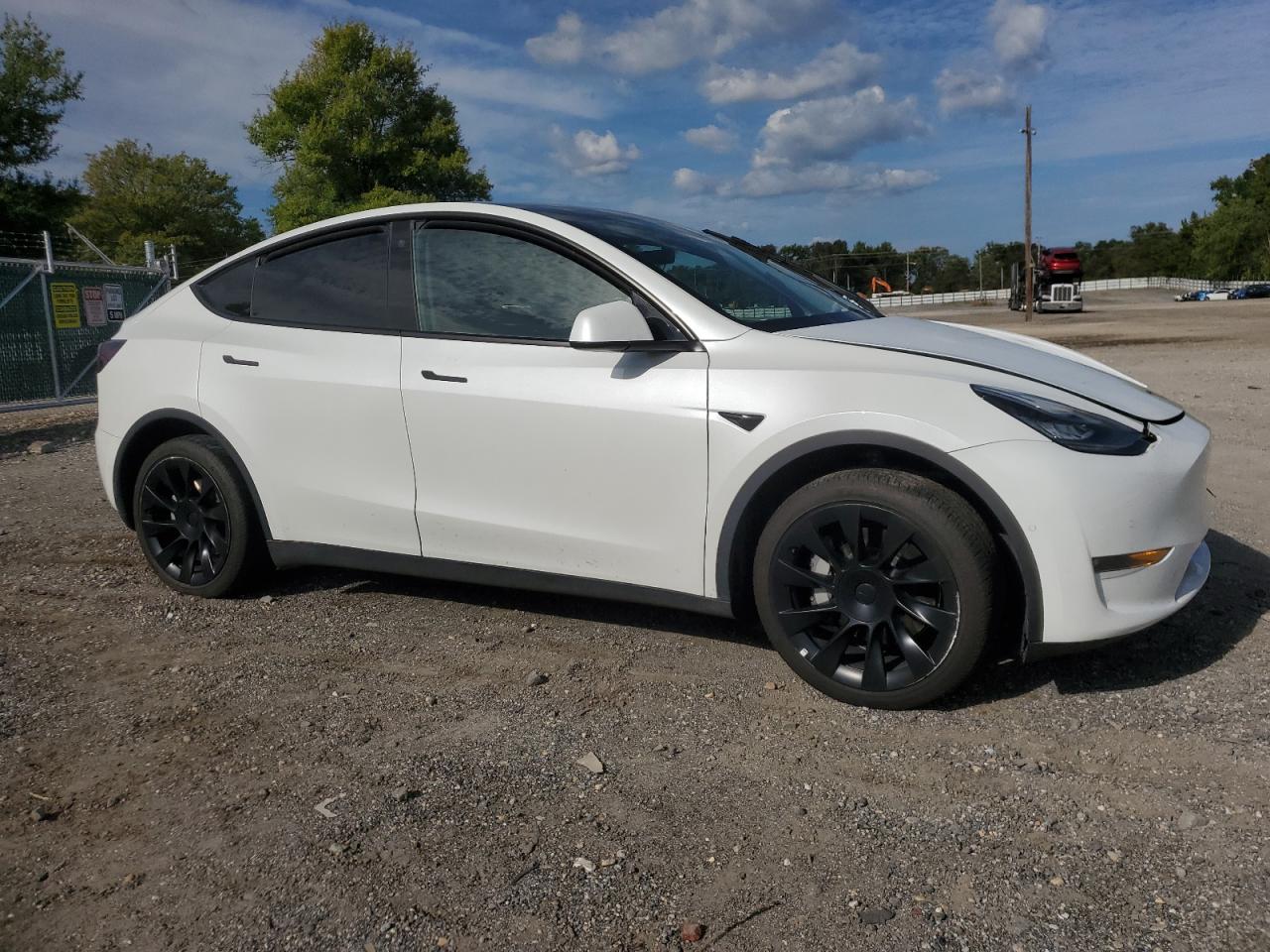 Lot #2972460680 2022 TESLA MODEL Y