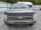 CHEVROLET SILVERADO photo