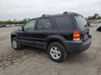 FORD ESCAPE XLT photo