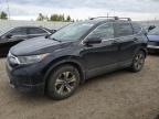 HONDA CR-V LX photo