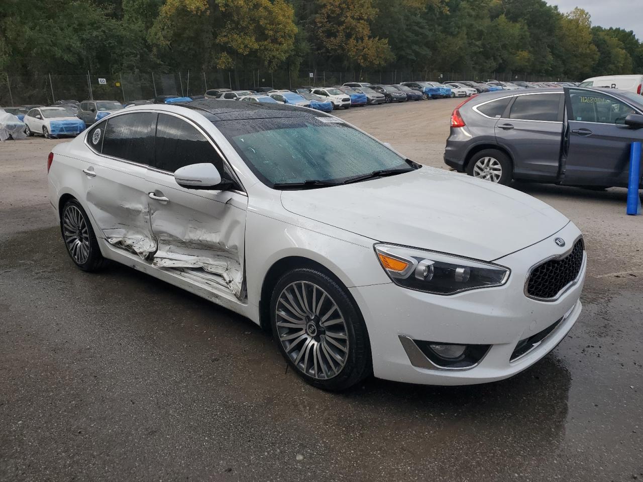 Lot #3033326808 2016 KIA CADENZA LU