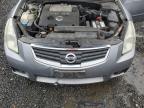 NISSAN MAXIMA SE photo