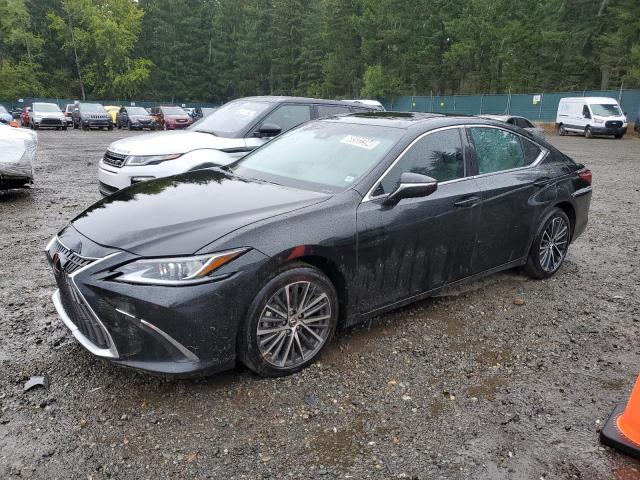 2023 LEXUS ES 250 BAS #2957105445