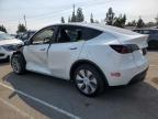 TESLA MODEL Y photo