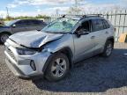2023 TOYOTA RAV4 LE - 2T3BWRFV1PW157475