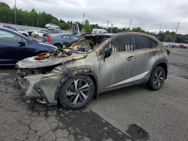 2020 LEXUS NX 300H LU - JTJHJRDZ8L2132118