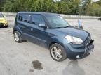 KIA SOUL + photo