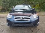 HYUNDAI SANTA FE L photo