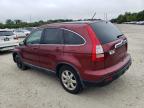 HONDA CR-V EXL photo