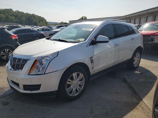 2011 CADILLAC SRX LUXURY 3GYFNAEY7BS532027  71022494