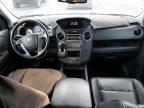 HONDA PILOT EXLN photo