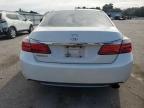 Lot #3024184798 2013 HONDA ACCORD EXL