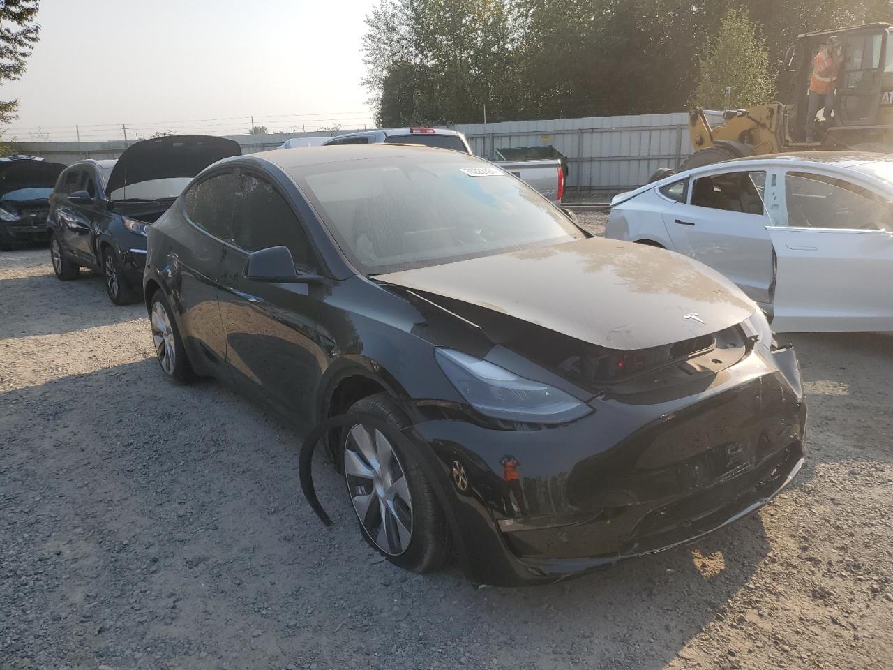 Lot #2986928835 2023 TESLA MODEL Y