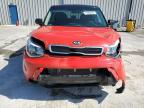 KIA SOUL + photo