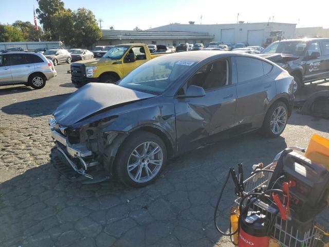 2023 TESLA MODEL Y #3029831244