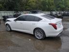 Lot #2938336777 2023 CADILLAC CT5 PREMIU