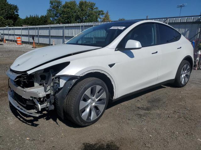 VIN 7SAYGDEE4PA160369 2023 Tesla MODEL Y no.1