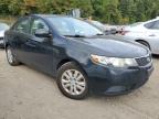 KIA FORTE EX photo