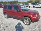 JEEP PATRIOT LA photo