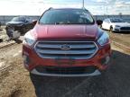 FORD ESCAPE SE снимка