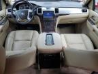 CADILLAC ESCALADE P photo