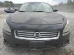 NISSAN MAXIMA S photo