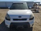 KIA SOUL + photo