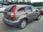 Lot #3024982204 2011 HONDA CR-V SE