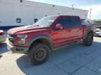 FORD F150 RAPTO photo