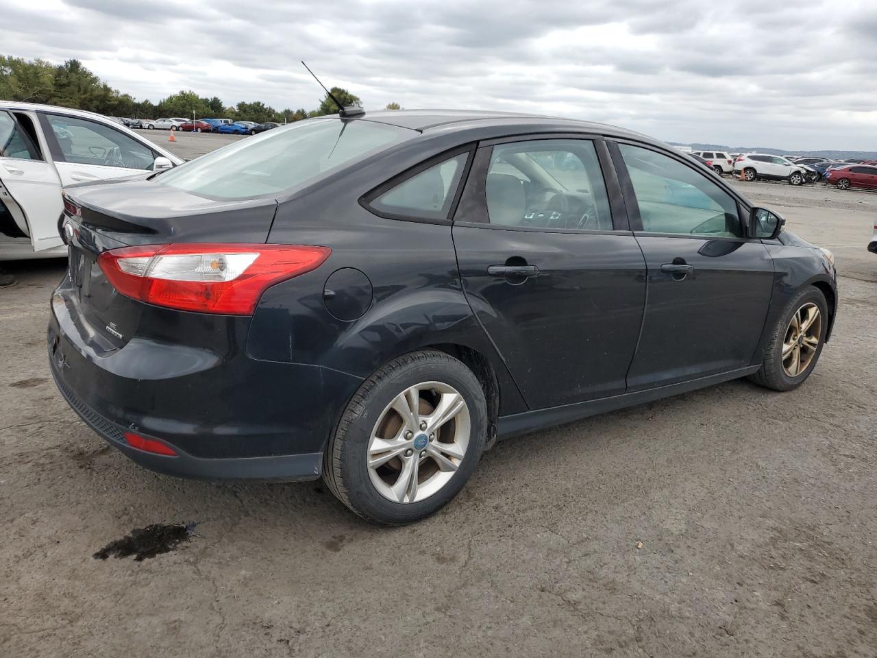 Lot #3023332236 2014 FORD FOCUS SE