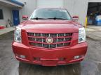 CADILLAC ESCALADE P photo