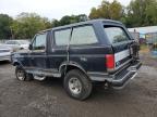 FORD BRONCO U10 photo