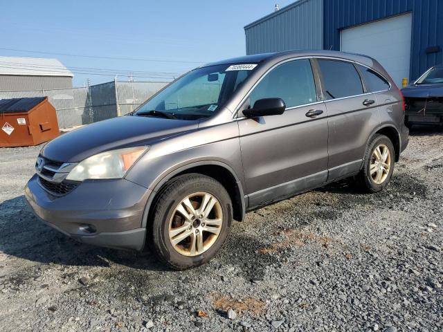 Vin: 5j6re4h36al803047, lot: 70380444, honda crv lx 2010 img_1